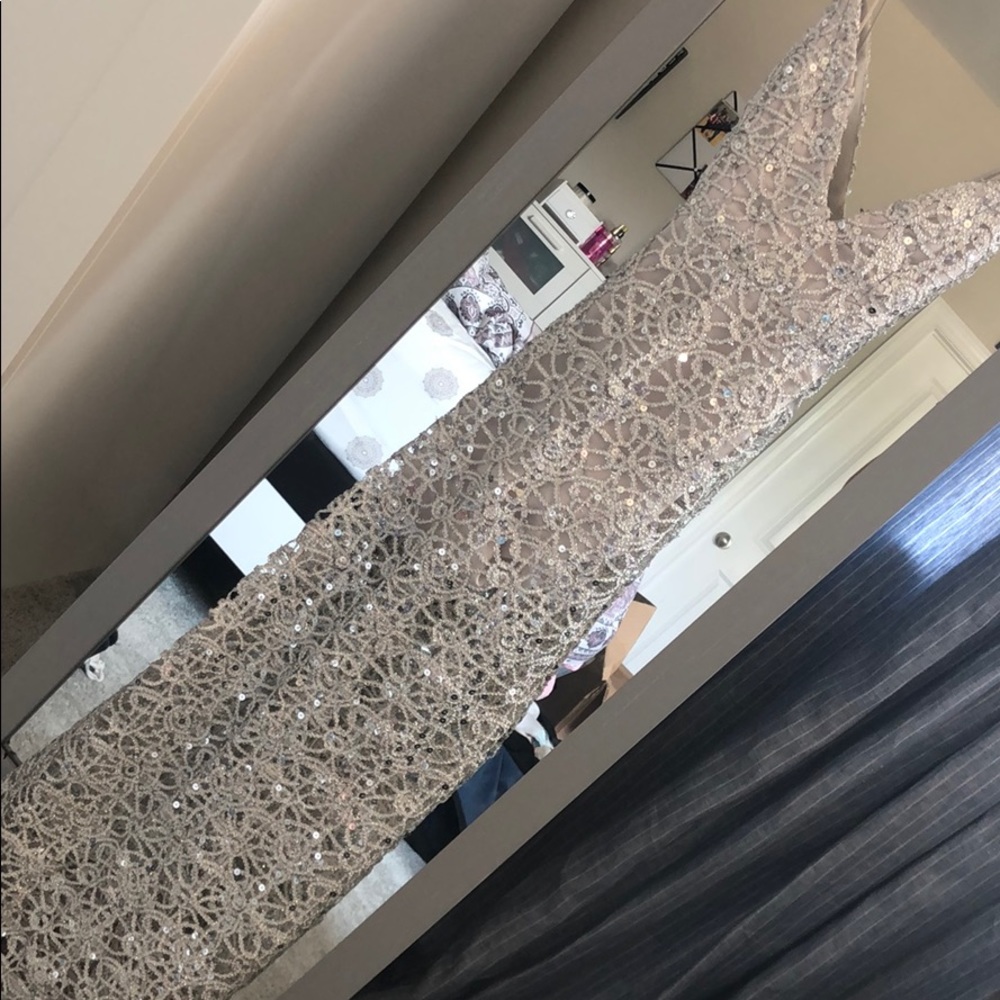 Silver gown